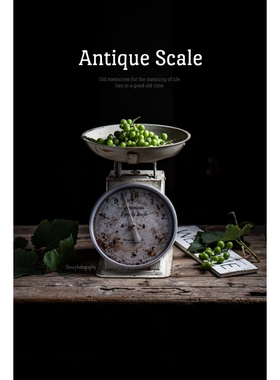 INS摆件美食静物摄影三色可选