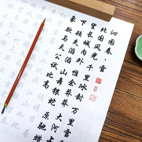 【毛泽东 诗词精选35首】行楷毛笔字帖入门初学者入门临摹套装 - 封面