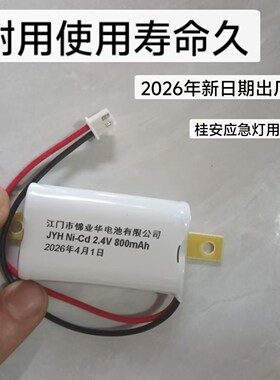 桂安原厂应急灯电池平安原厂装