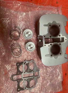 力帆双缸250套缸253FMM缸筒套缸活塞中缸总成缸径53mm原装正品