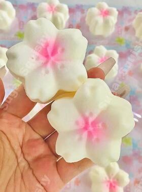 仿真湿软手感樱桃糕慢回弹Squishy 解压挤压捏捏乐生日玩具礼物