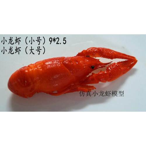 仿真一比一食物模型假菜样品展示蔬菜仿真小龙虾模型摄影道具