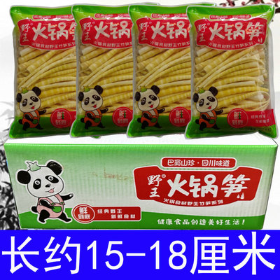 新鲜小竹笋商用小笋尖火锅笋尖串串笋子小笋子野王火锅笋2500g*4