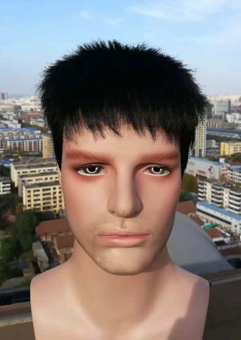 舞台演出道具男士中老年假发 表演黑色平头 蓬松整顶假头套COS