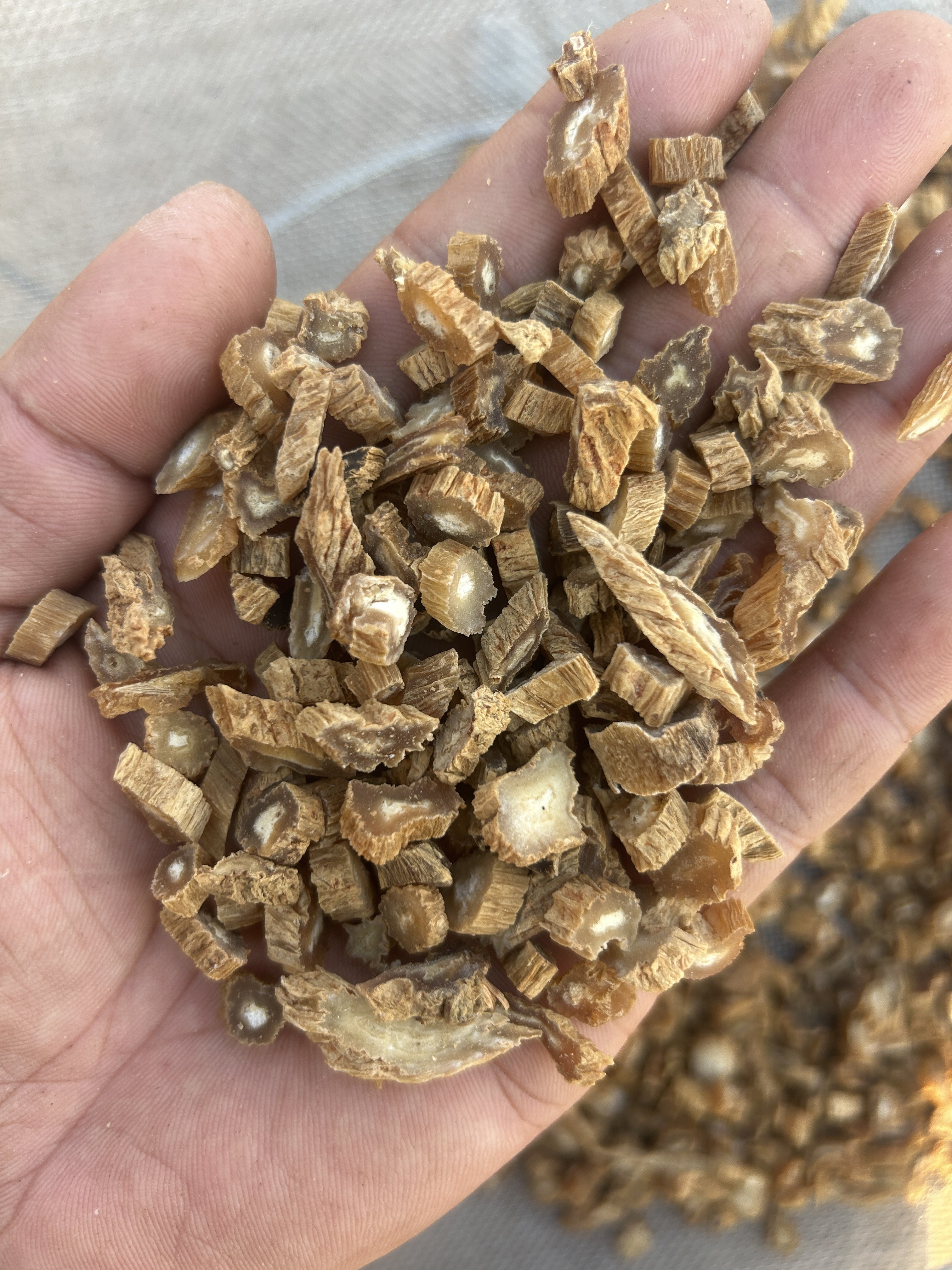 百部纯中药材片子跳搔阴虱煮水洗头洗澡螨虫大货批发正品无硫中药