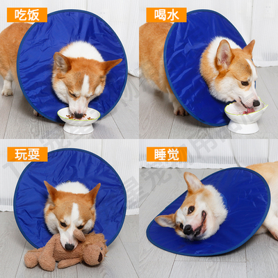 狗狗伊丽莎白圈宠物软圈绝育防舔舐轻薄防水柯基犬术后使用羞耻圈