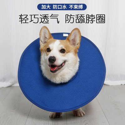宠物伊丽莎白圈防舔防抓咬项圈