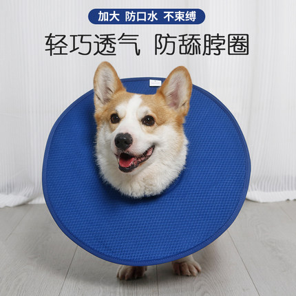 宠物伊丽莎白圈狗狗术后防舔防抓咬项圈中小型犬柯基头套绝育脖圈