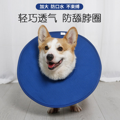 宠物伊丽莎白圈防舔防抓咬项圈
