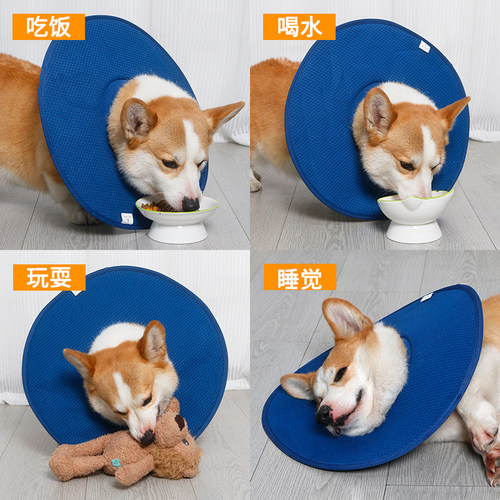 狗狗伊丽莎白圈软圈防舔神器
