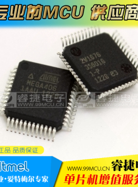 ATMEGA406-1AAU ATMEGA406 QFP48 全新进口原装ATMEL单片机