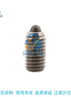 BSML3/4/5/6/8/10/12 BMSL BSZL系列不锈钢加长型轻载型球头柱塞