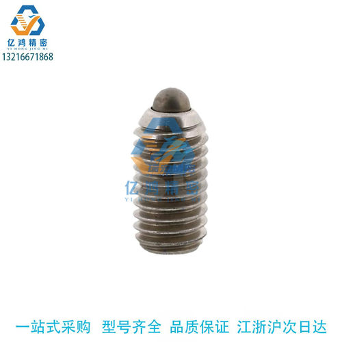 BSML3/4/5/6/8/10/12 BMSL BSZL系列不锈钢加长型轻载型球头柱塞