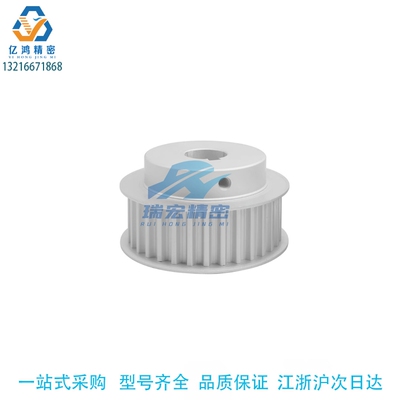 替米思PTPA60P8M250-B-N30  20 22 24 25 28 32 35 40同步带轮