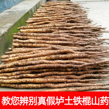 河南焦作温县正宗垆土铁棍山药新鲜铁杆怀山药铁桂铁棒淮山药5斤