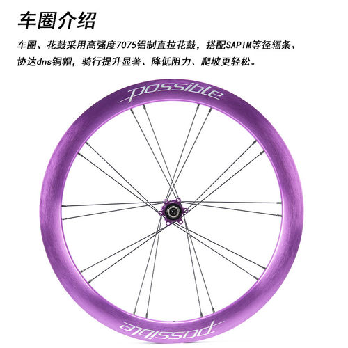 Possible22寸451碟刹轮组