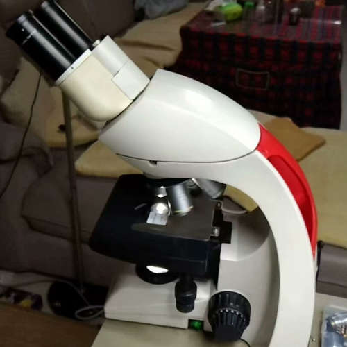 徕卡Dm500双目显微镜，四个物镜，最大1000倍，成色