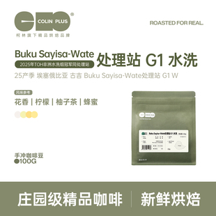 Sayisa Buku Wate处理站水洗咖啡豆100g 埃塞古吉 ColinPlus25产季