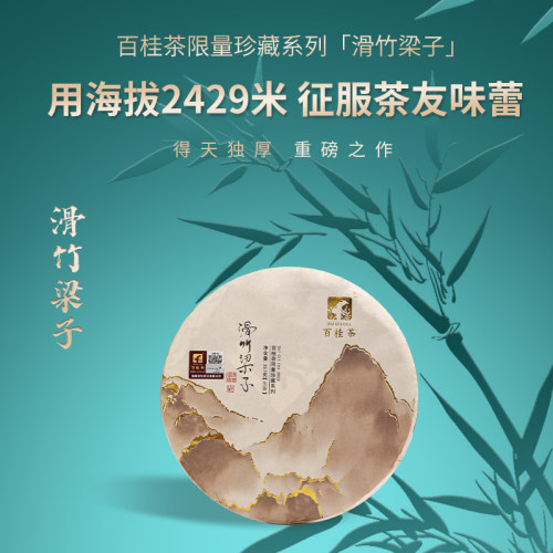 普洱茶滑竹梁子百桂茶普洱茶生茶