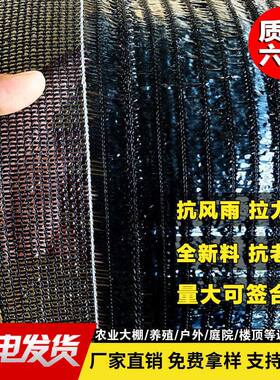 大姜防晒遮阳网生姜平织平针太阳网蔬菜育苗农用大棚果树重楼花卉