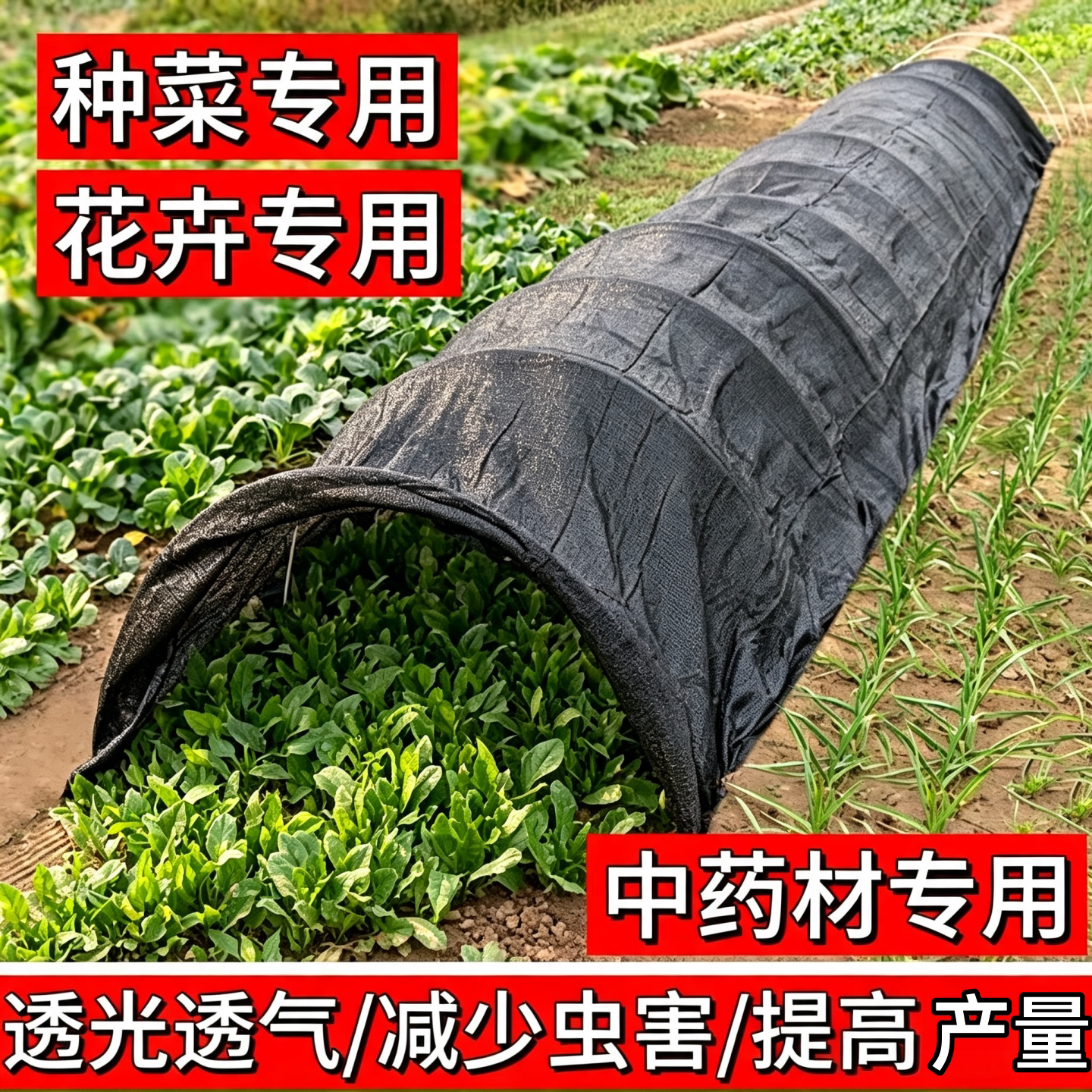 太阳网遮光网种菜遮阳网防晒网