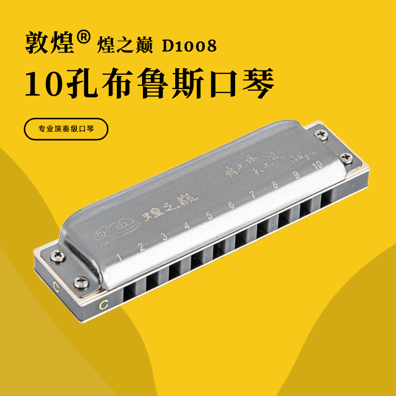 敦煌煌之巅十孔布鲁斯口琴