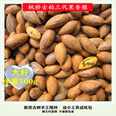 大籽榧王村老树香榧子2025年新货500g袋装 坚果干果诸暨枫桥特产