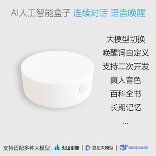 AI聊天盒子人工智能硬件Deepseek豆包模型无限制对话机芯二次开发