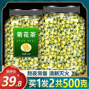 桐乡胎菊王菊花茶新花清火败火去火白菊杭非清热解毒明目特级正品