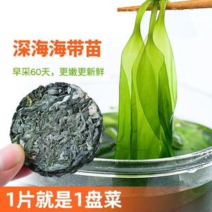 商用 烘干压缩海带丝干货圆饼高泡发凉拌下饭菜免洗干海带苗小包装