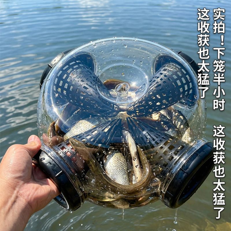 透明鱼笼捕鱼神器鱼虾笼抓鱼神器四口诱鱼网笼专用泥鳅虾笼黄鳝
