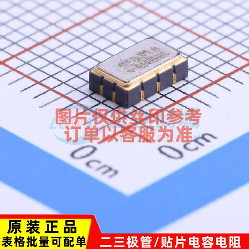 定时器/计时器 DS4125D+ LCCC-10(3.2x5) MAXIM(美信) 电子元器件
