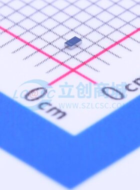 肖特基二极管 VSKY05401006-G4-08 CLP-1006-2L VISHAY(威世)