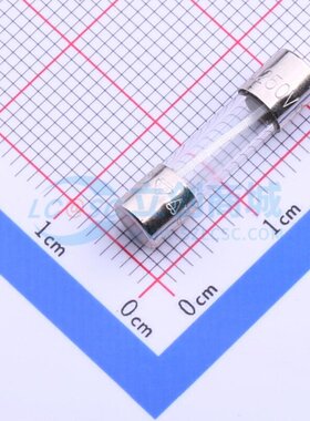 一次性保险丝 0218.160MXP D5xL20mm Littelfuse(力特) 原装