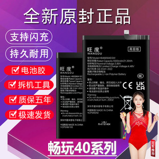 AN00电板 WDY 适用于荣耀畅玩40电池40C原装 40S手机40Plus内置RKY