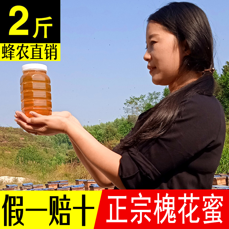 2025新鲜槐花蜜藏蜜  槐花蜜 正品野生藿香蜂蜜百花蜜 结晶土蜂蜜