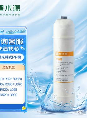 碧水源 U700 D520 R520 R610 R620 R322 R380 5微米韩式PP棉滤芯