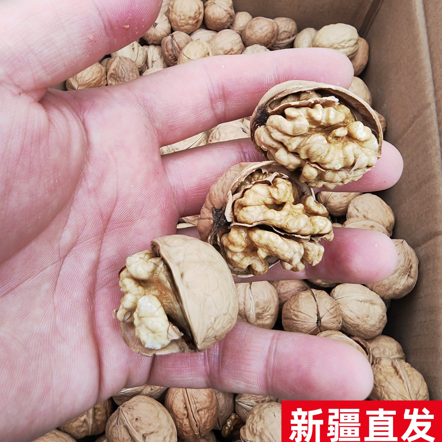 正宗新疆纸皮核桃薄皮老树核桃