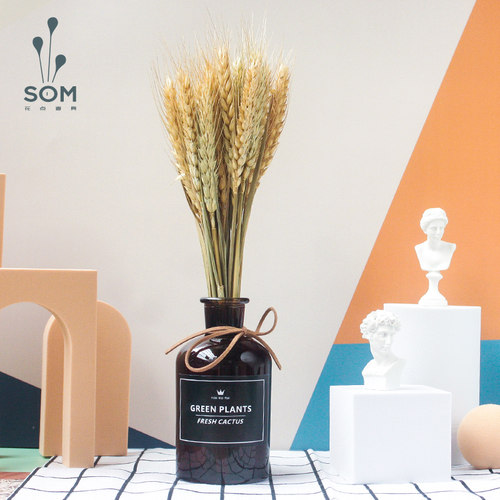 花点道具插干花棕色玻璃瓶花束