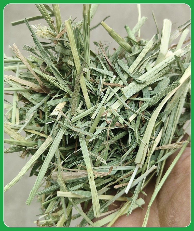 提摩西草段晒干进口提摩西草宠物兔子龙猫牛羊马鹿专用饲料牧草,畜牧/养殖物资,畜牧/养殖饲料,淘宝优惠券,粉丝福利购,淘宝优惠卷