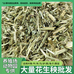 新花生秧草料秸秆牛羊专用饲料兔鹅猪马驴鹿优质干草精品无土无霉