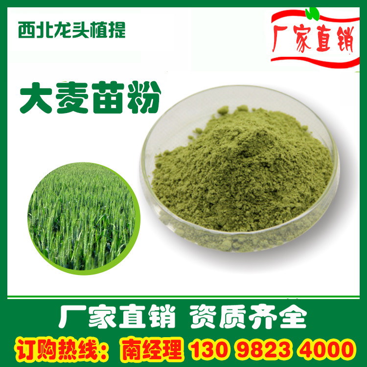 大麦苗粉99%超细粉大麦若叶粉其它新食品原料类