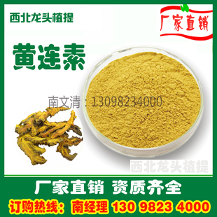 黄连素粉97% 黄连提取物黄连粉厂家直销 盐酸小檗碱 1KG