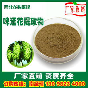 啤酒花提取物10:1 啤酒花粉 1KG 厂家直销速溶水溶浓缩浸膏粉熟粉
