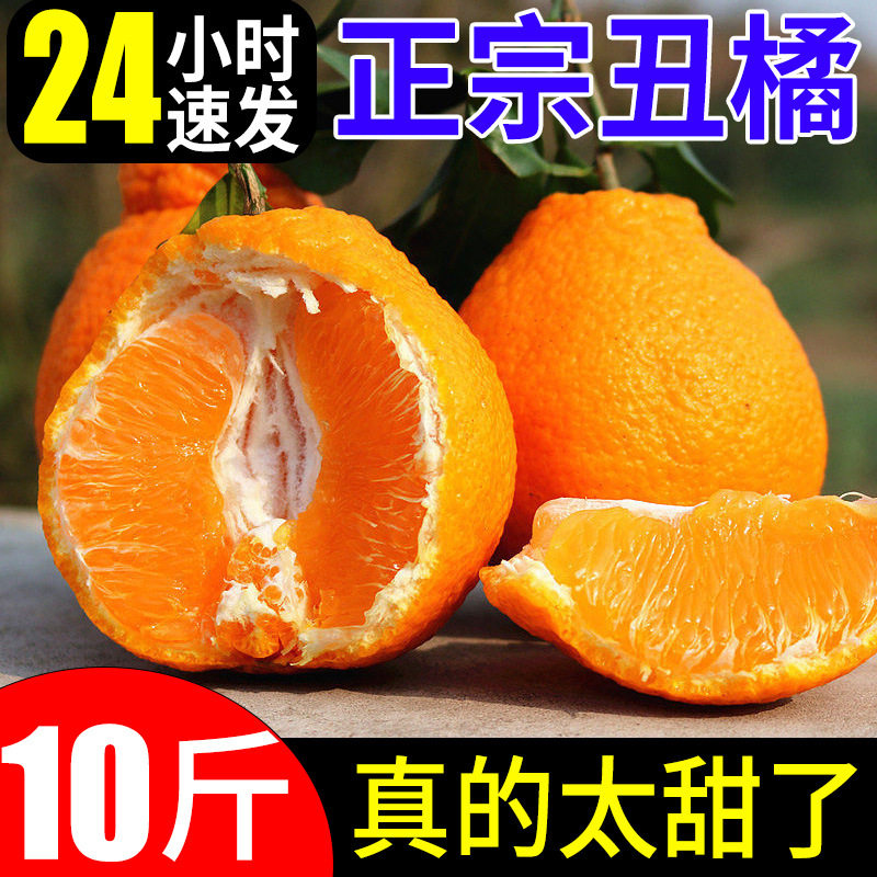 四川耙耙柑丑八怪丑橘新鲜橘子9斤蜜橘桔子当季时令应季水果柑橘,水产肉类/新鲜蔬果/熟食,桔子,淘宝优惠券,粉丝福利购,淘宝优惠卷