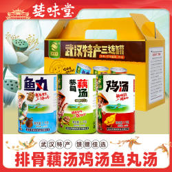 武汉特产银莲湖蔡甸莲藕排骨汤鸡汤鱼丸汤1kg*3罐速食汤湖北礼盒