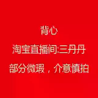 亮闪闪背心