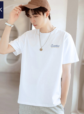 TEEK液氨丝光棉 夏季冰丝凉感短袖t恤男装冰感纯棉轻奢体恤上衣服