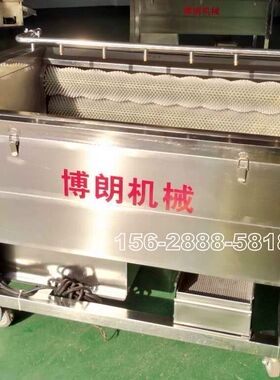 土豆清洗去皮机 毛刷式清洗机 整机不锈钢 果蔬清洗去皮机  视频