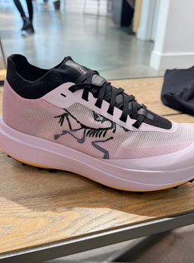 代购ARC'TERYX始祖鸟 Sylan Pro 轻量透气防撕裂绯云粉女士越野